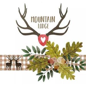 Swiss Finest Servietten Mountain Lodge weiss 20 Stück