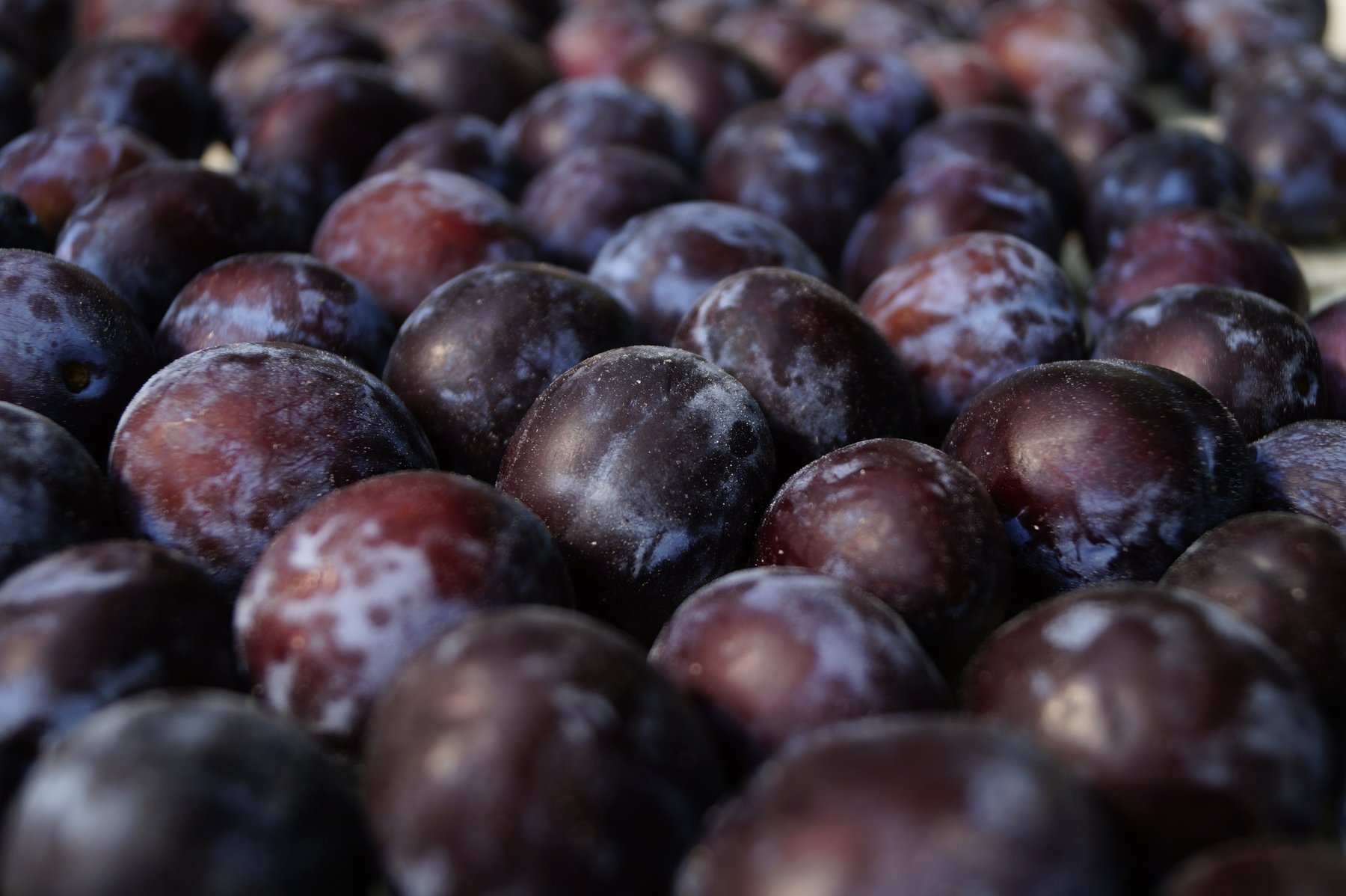 Etter Vieille Prune Pflaumenschnaps 0,35 l