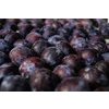 Etter Vieille Prune Pflaumenschnaps 0,35 l